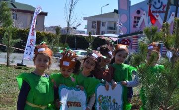 Fidan Dikimi